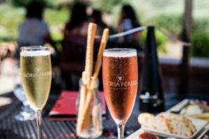 手机摄影的好处跟坏处,手机摄影的利与弊,便捷与局限的全面解析