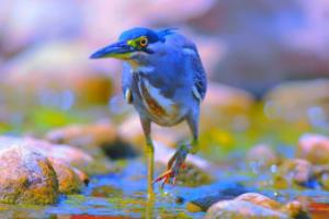 爱摄影的女孩取什么名字好,文艺与光影的邂逅,给爱摄影女孩的绝美名字灵感