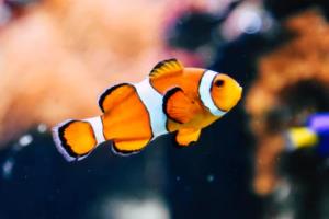 摄影这个行业赚钱吗,摄影行业真的能赚到钱吗?