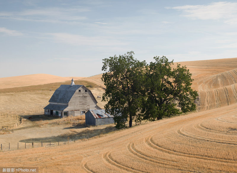 摄影师richard cole摄影师