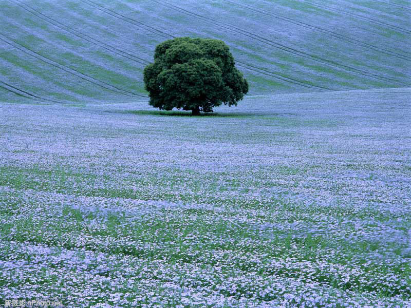 摄影师richard cole摄影师