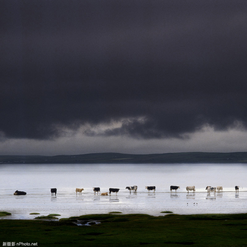 摄影师richard cole摄影师