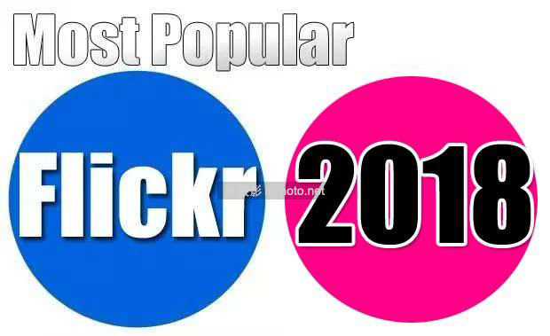 2018年相机销量排行榜 2019相机销量排行榜图1