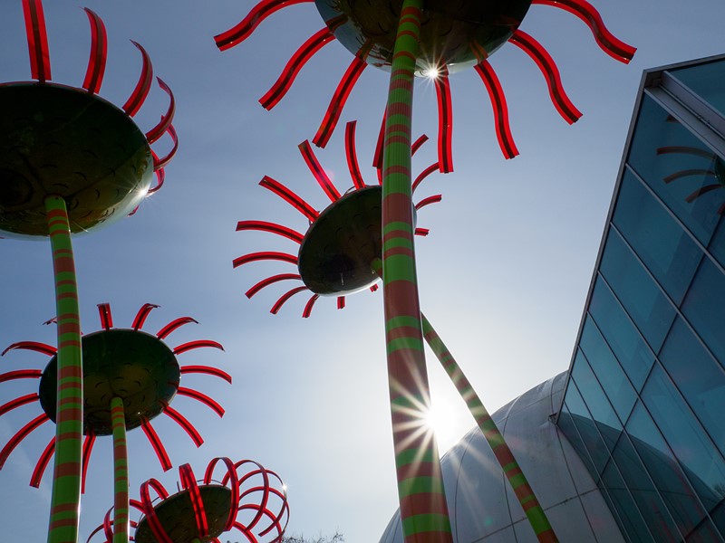 摄影培训学校 摄影师证怎么考_16