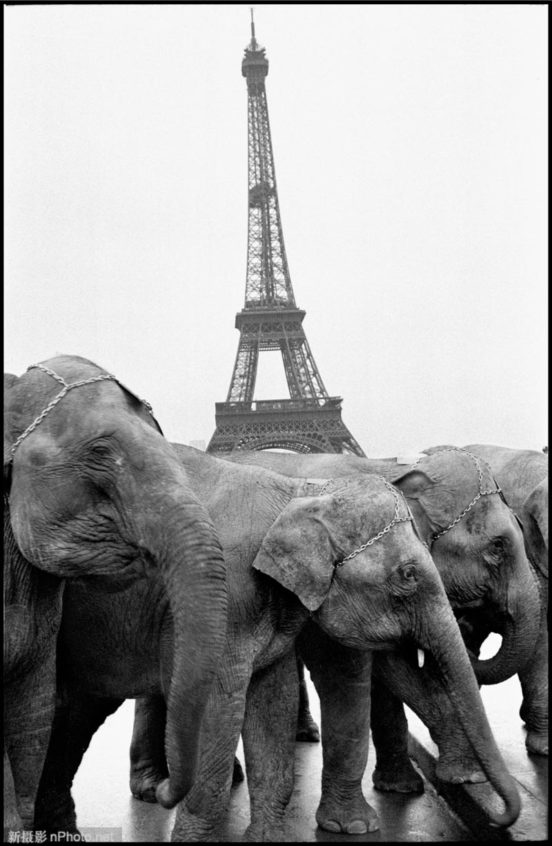 玛格南2020 玛格南摄影师街头摄影作品