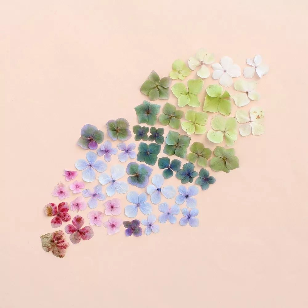 色彩强调图片 色彩强弱感图片