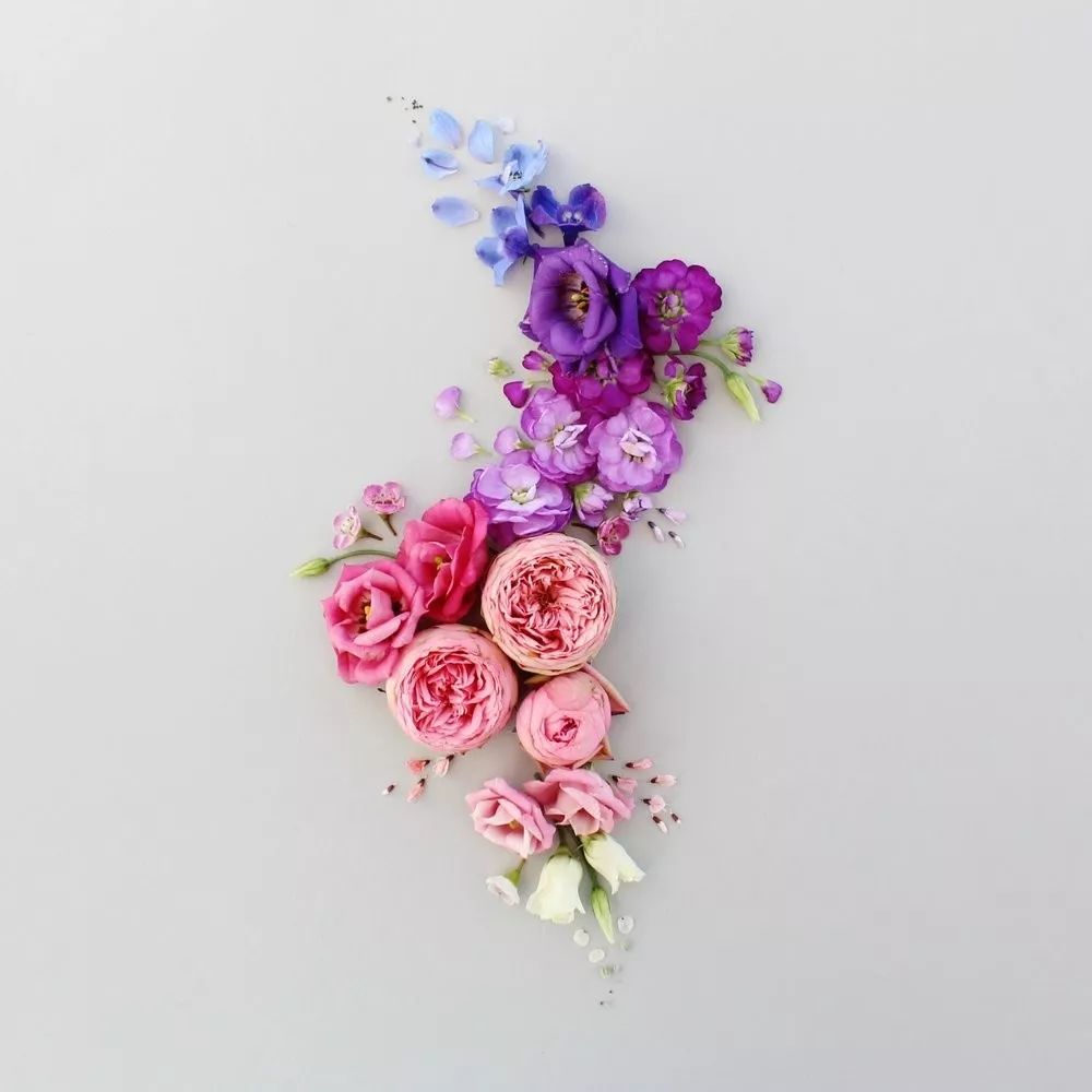 色彩强调图片 色彩强弱感图片