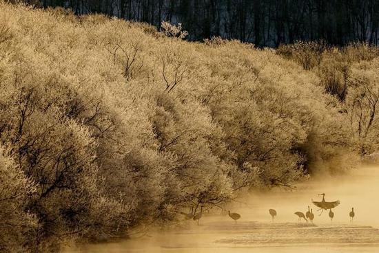 2017国家地理摄影大赛获奖作品 国家地理摄影比赛图3