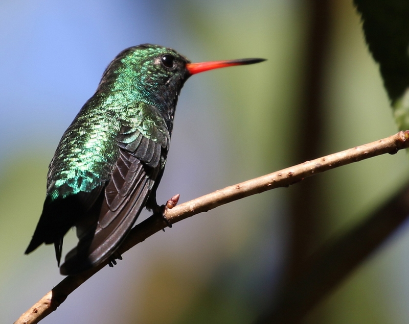 摄影类壁纸 摄影比赛海报背景素材图1