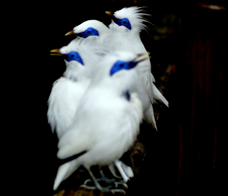 摄影类壁纸 摄影比赛海报背景素材