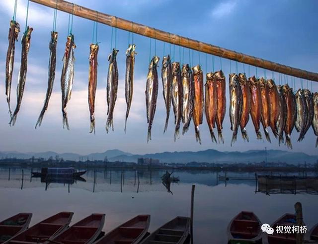 柯桥摄影公司有几家 柯桥学摄影的地方