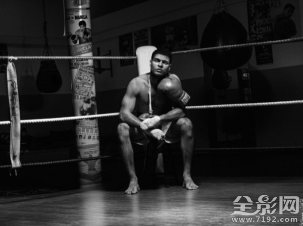 回到美国当巨星 回到美国电影