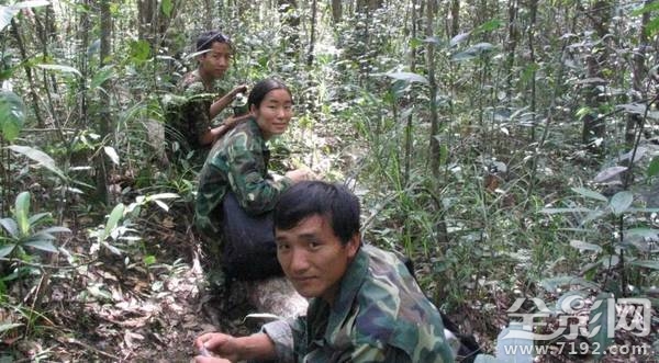 大象之王萨陶有多重 萨淘大象图1