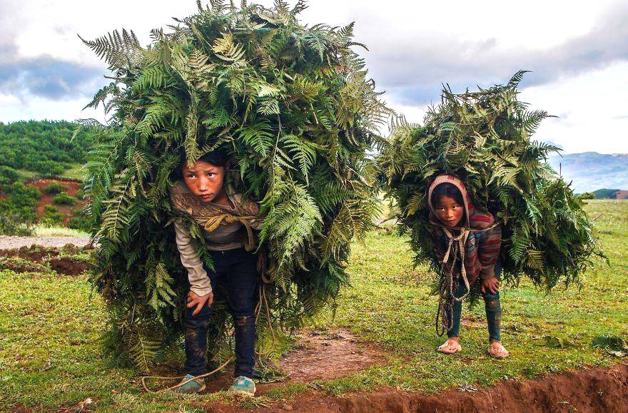 锡耶纳摄影奖 锡耶纳平面图1