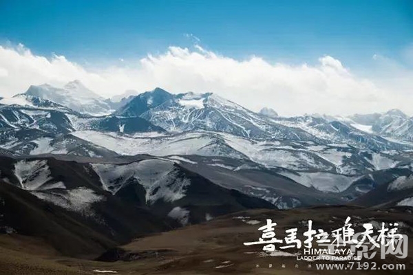 喜马拉雅天梯人物现状 喜马拉雅天梯剧集版资源图2