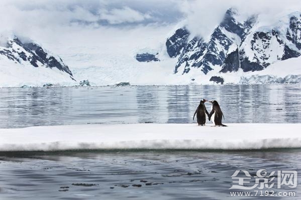 摄影师花25年拍摄绝美南极照片视频 南极摄影作品