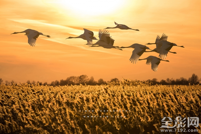 风光-风景摄影作品 风光 摄影图3