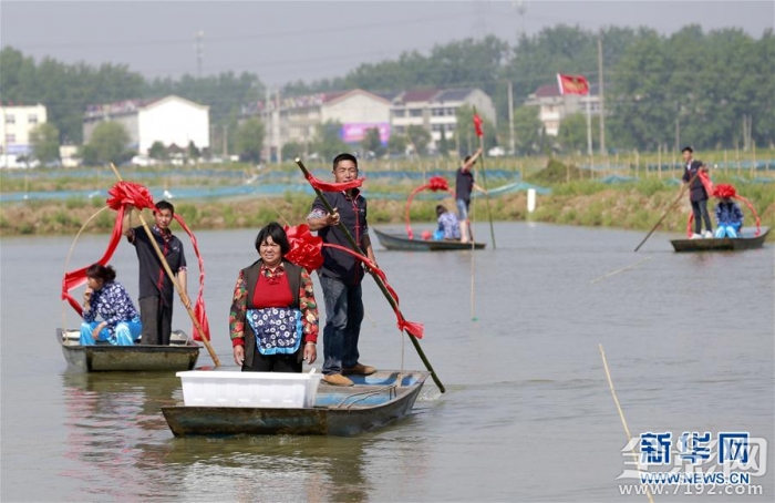 杭州摄影活动 杭州摄影展2020