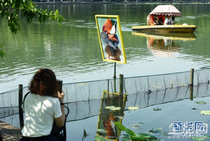 杭州摄影活动 杭州摄影展2020