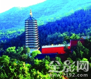 李振盛摄影博物馆 李振胜摄影师图2