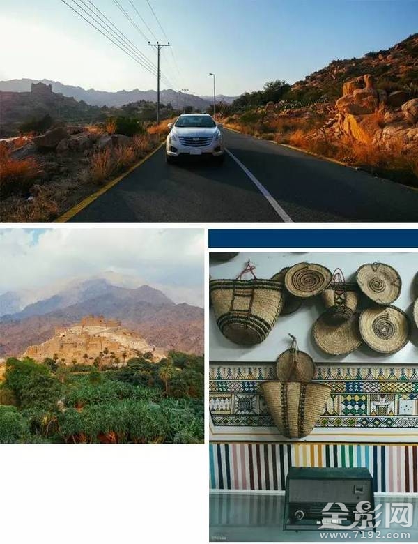 emotion garden 下载 emotional damage图2