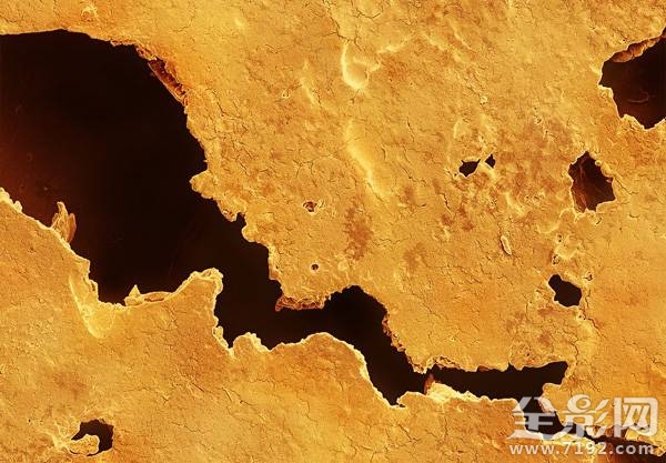 显微摄影术 显微摄影照片图3