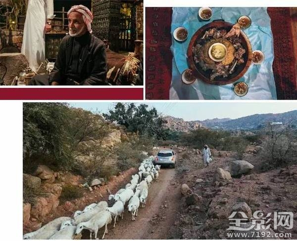 emotion garden 下载 emotional damage