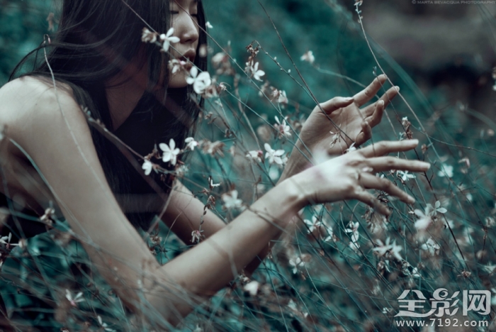 森林之语是什么意思啊 森林之语卫生巾