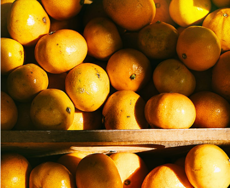 晴天时,顺光与逆光应该怎么拍摄呢 逆光和顺光什么时候好看