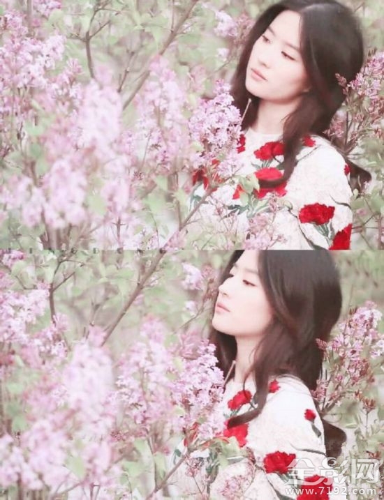 春暖花开 明星教你正确的拍照姿势视频 春暖花开拍照穿什么衣服好看