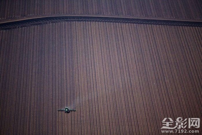 澳大利亚的田野照 澳大利亚农业视频