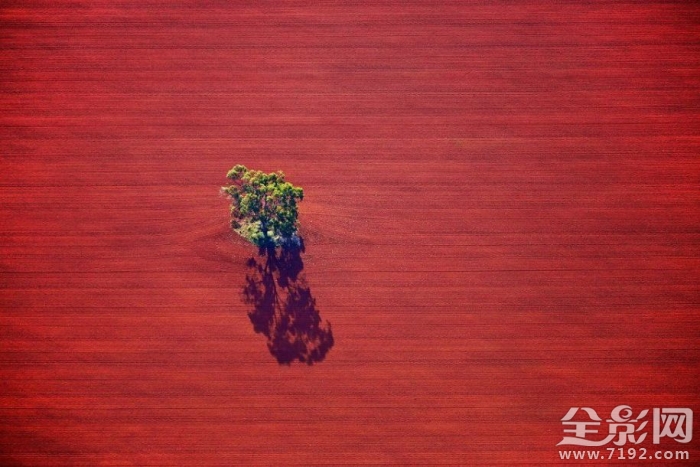 澳大利亚的田野照 澳大利亚农业视频