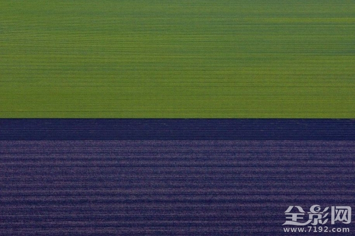 澳大利亚的田野照 澳大利亚农业视频