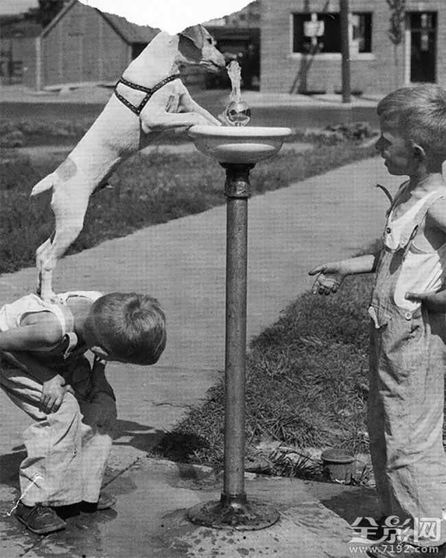 儿童 摄影作品 儿童摄影摄影