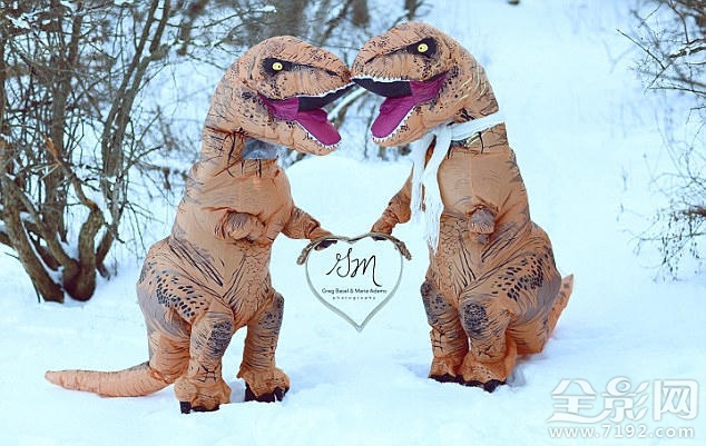恐龙婚礼 恐龙配偶图1