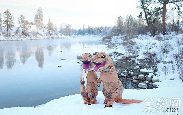 恐龙婚礼 恐龙配偶