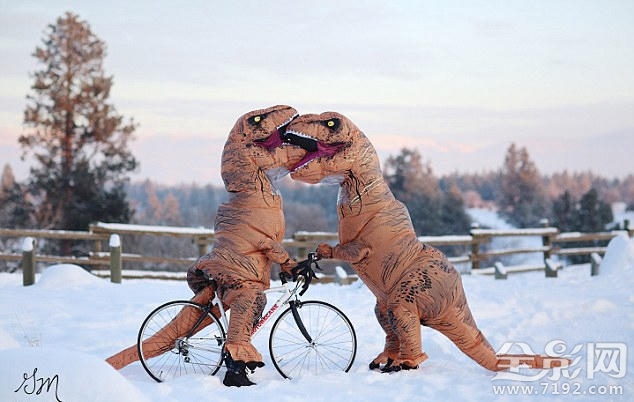 恐龙婚礼 恐龙配偶