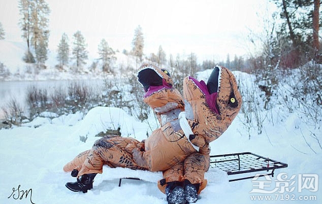 恐龙婚礼 恐龙配偶