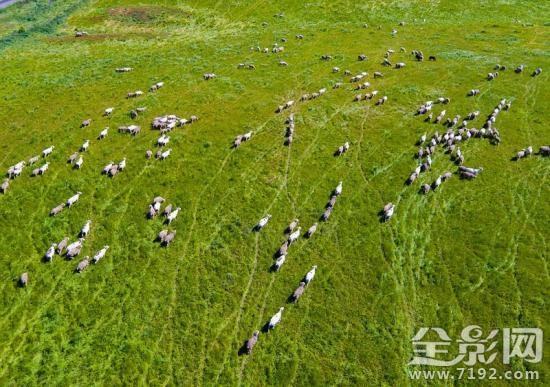 无人机镜头下的惊艳世界是什么 无人机的镜头是什么镜