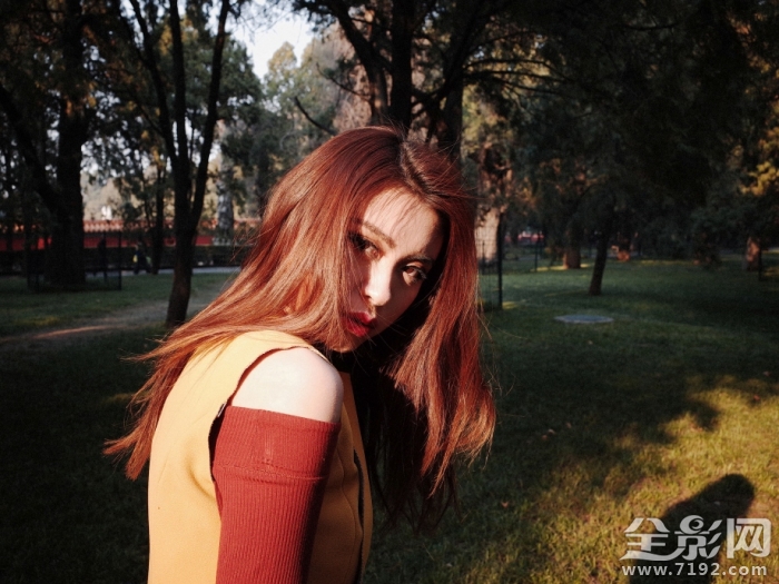 斑斓摄影怎么样 斑斓图是什么意思图2