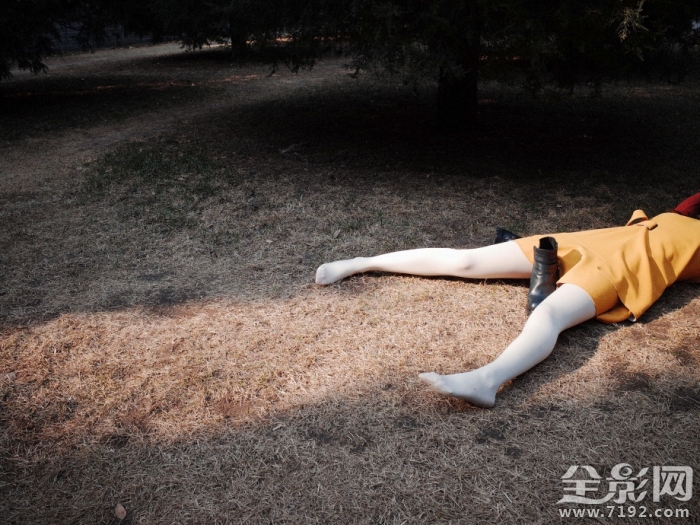 斑斓摄影怎么样 斑斓图是什么意思图3