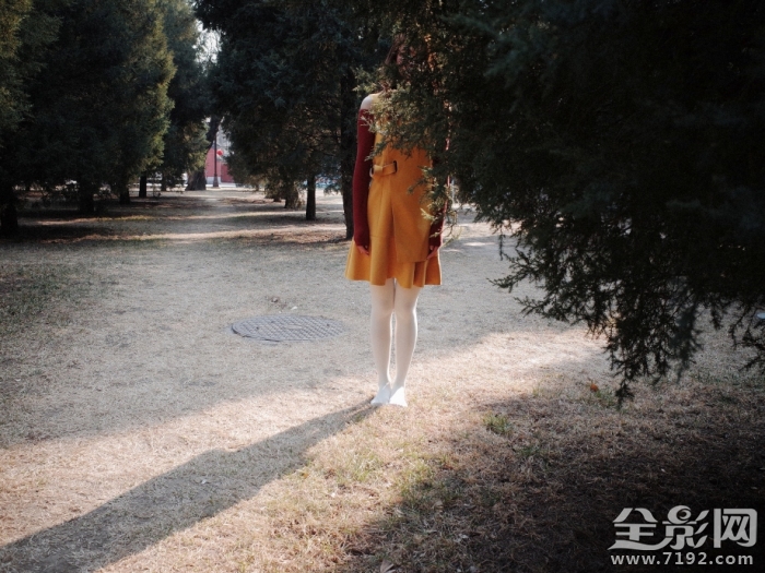 斑斓摄影怎么样 斑斓图是什么意思