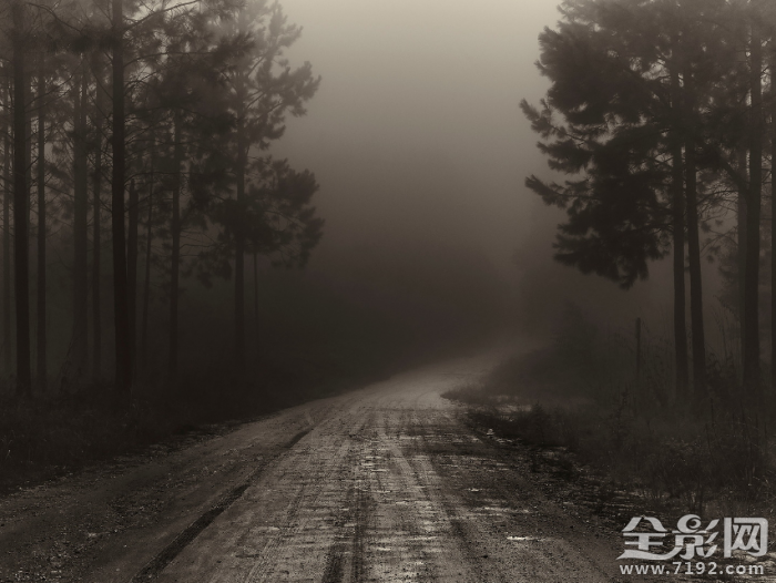 寂静岭走廊 寂静岭是啥图2