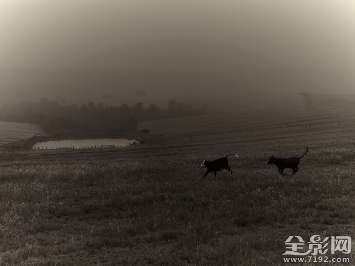 寂静岭走廊 寂静岭是啥图3