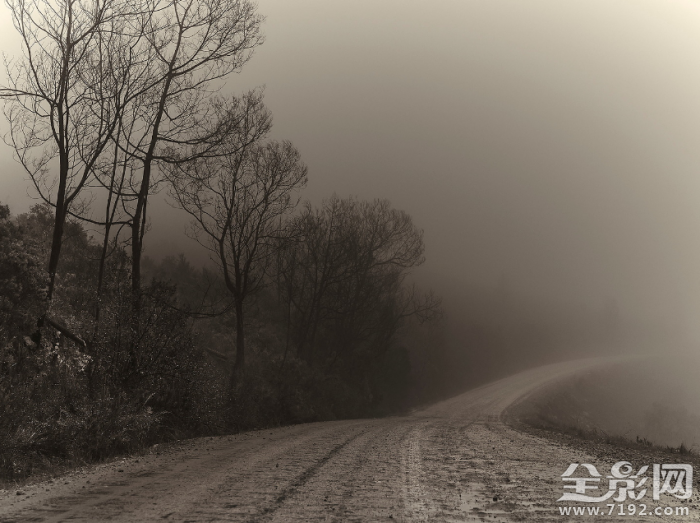 寂静岭走廊 寂静岭是啥