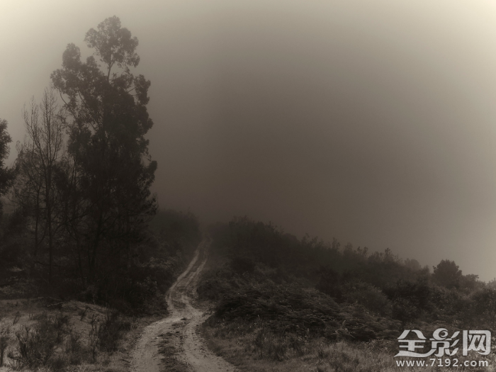 寂静岭走廊 寂静岭是啥