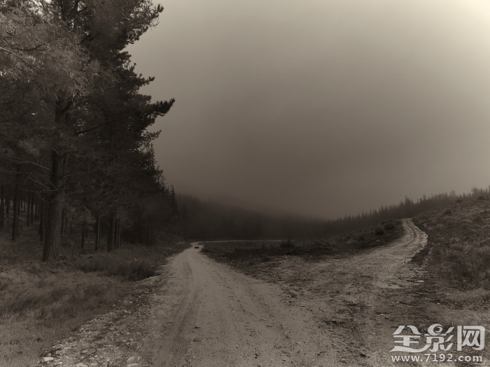 寂静岭走廊 寂静岭是啥