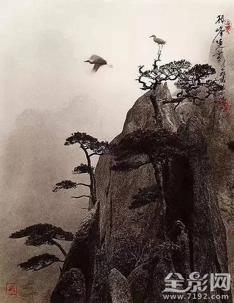 这到底是摄影还是国画呢 分不清画还是摄影图3