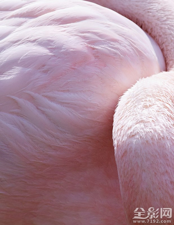 各地年鉴 这感觉太上头了表情包