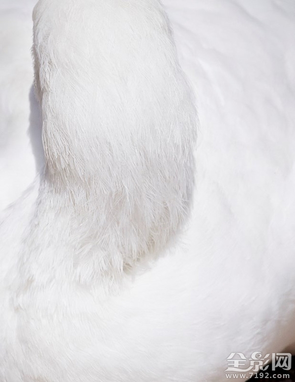 各地年鉴 这感觉太上头了表情包